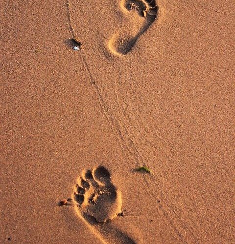 YARINI DÜŞÜNMEYİN, BUGÜNÜ GÜÇLENDİRİN!