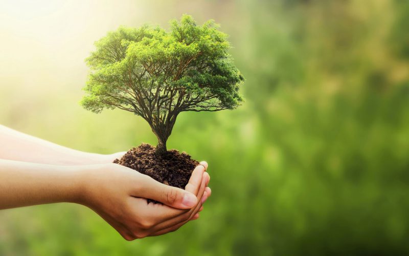 Psikolojik Sağlamlık ve Sosyal İlişkiler: İlişki Negatif Olabilir Mi?